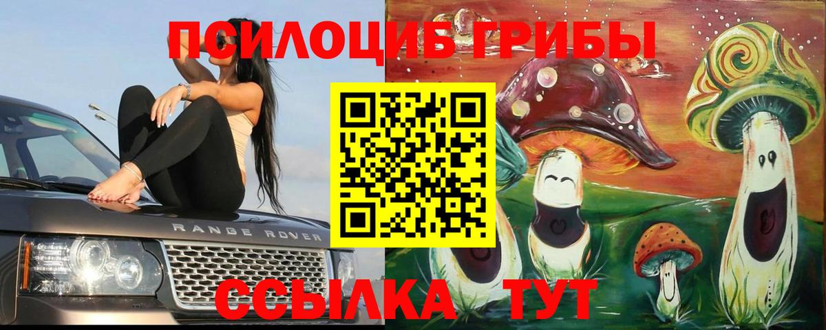 Галлюциногенные грибы MAGIC MUSHROOMS  Псилоцибиновые грибы MAGIC MUSHROOMS  Елабуга  Вход с VPN 